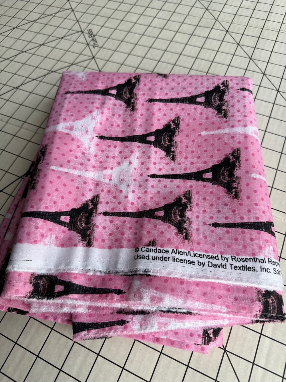 5.5+ Yds Pink Eiffel Tower Cotton Fabric David Textiles Paris French Home Decor